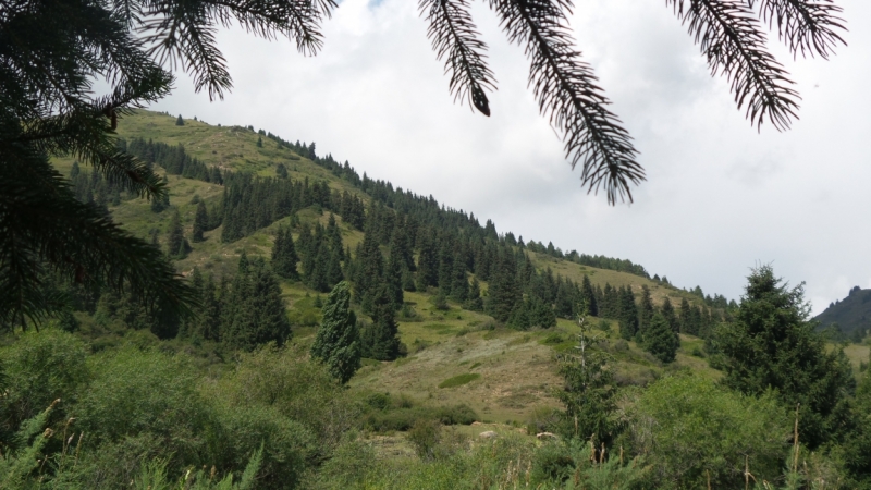 Киргизия