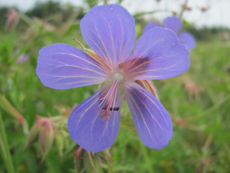 Кругобайкальский круиз за 9 дней. Микс дикой природы и комфорта.
