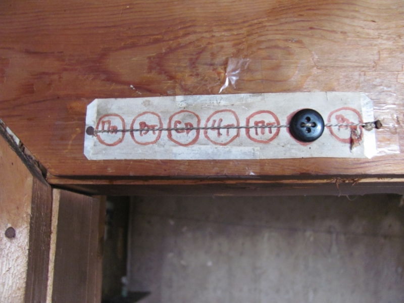 Кругобайкальский круиз за 9 дней. Микс дикой природы и комфорта.