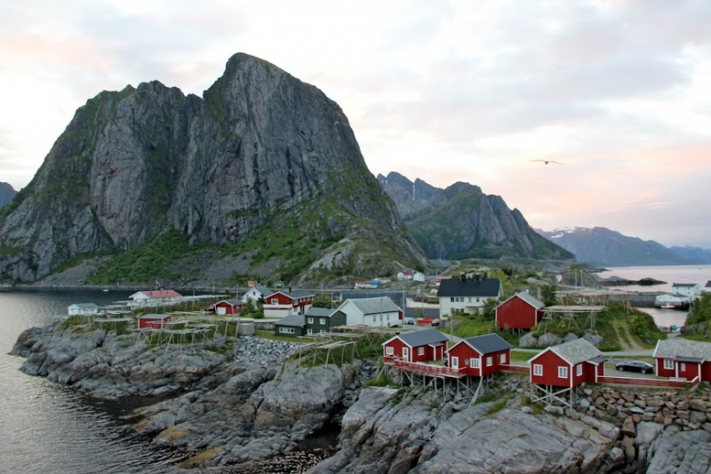 Поздравление с днем рождения Nora L