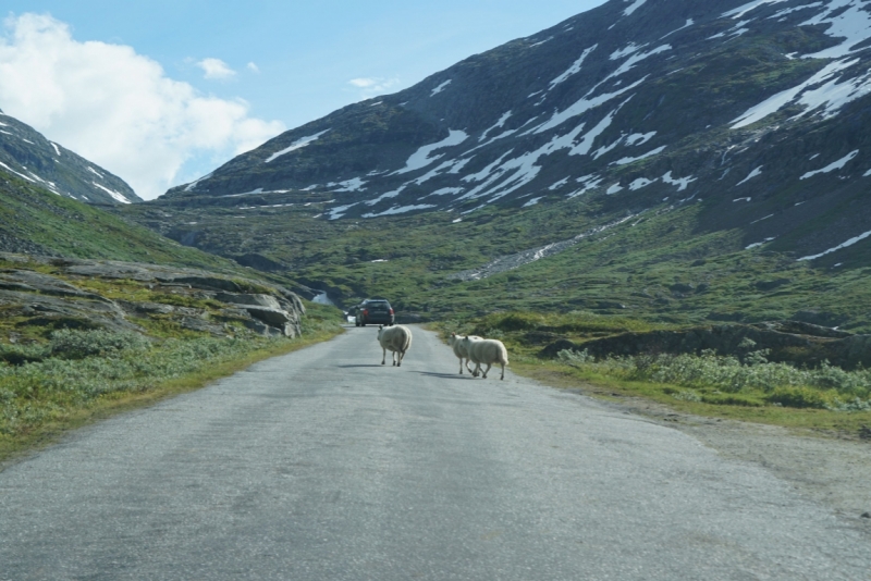 Берлин - Норвегия на 4000 км за 11 дней. Август 2015