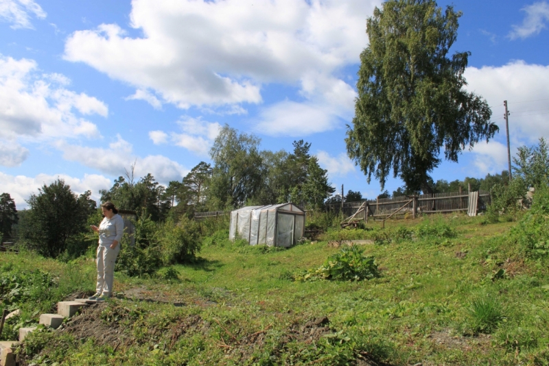 Поговорим о кошках35