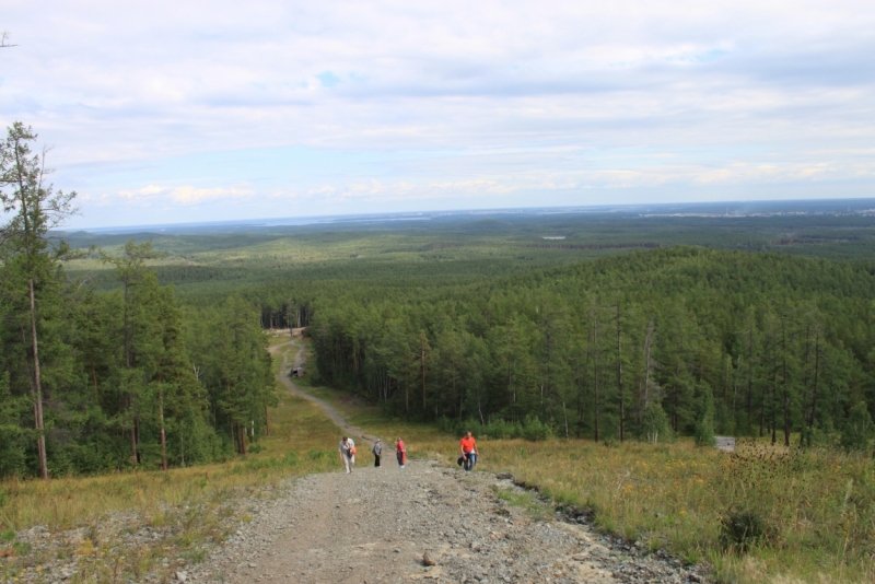 Поговорим о кошках35