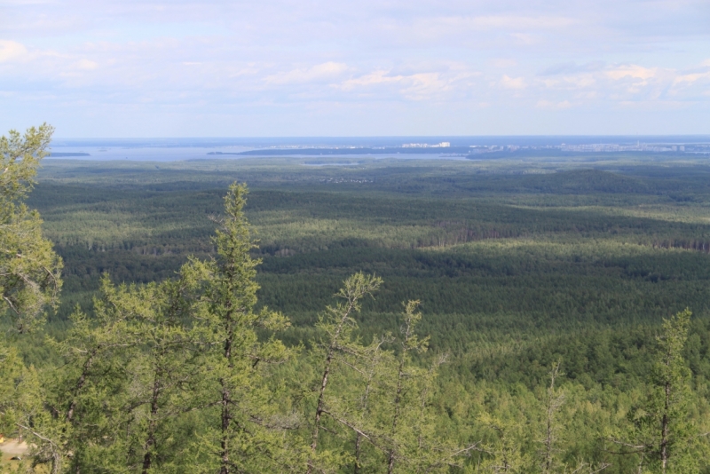 Поговорим о кошках35