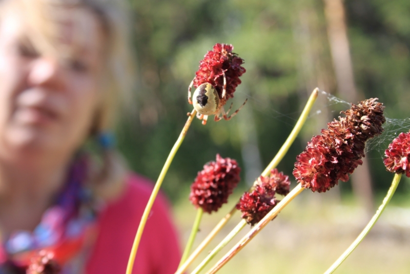 Поговорим о кошках35