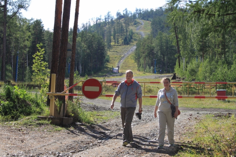 Поговорим о кошках35