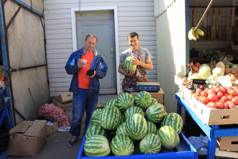 Поговорим о кошках35