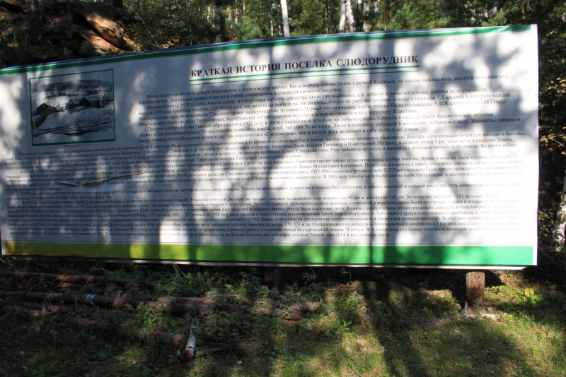 Поговорим о кошках35