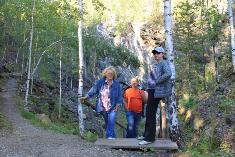 Поговорим о кошках35