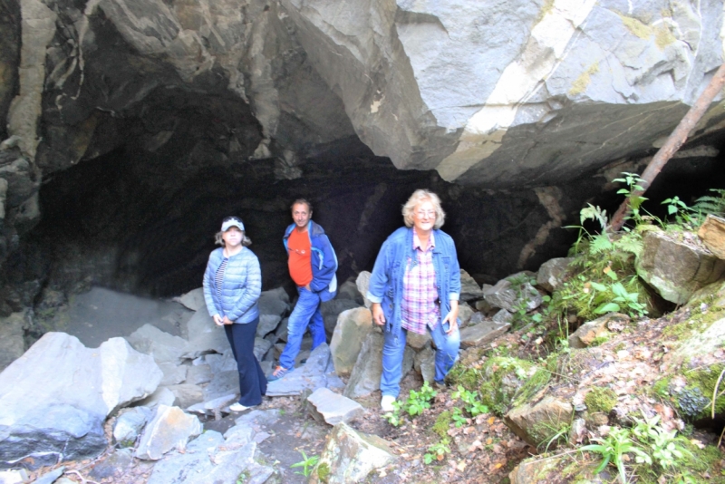 Поговорим о кошках35