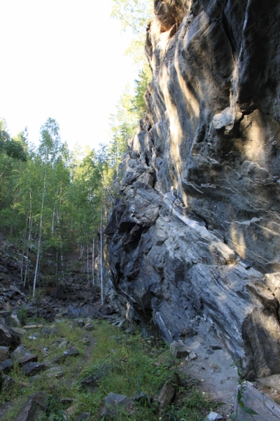 Поговорим о кошках35