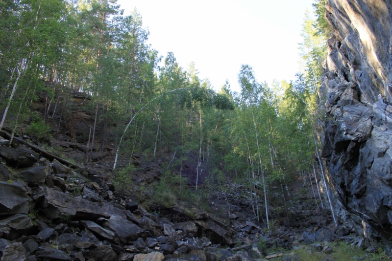 Поговорим о кошках35