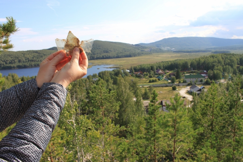 Поговорим о кошках35