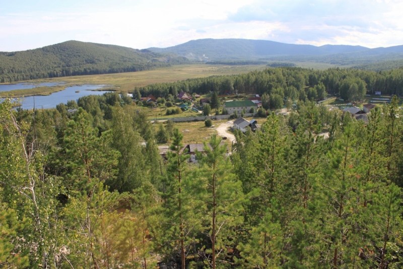 Поговорим о кошках35