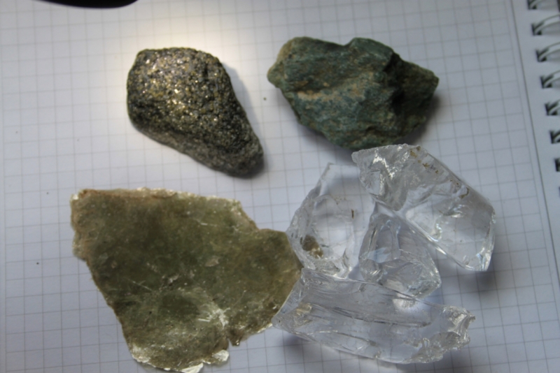 Поговорим о кошках35