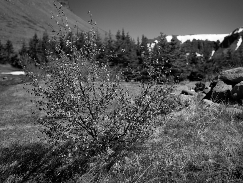 Face to face с Исландией и "безвизовой" Шотландией или потерянный день на MSC Splendida