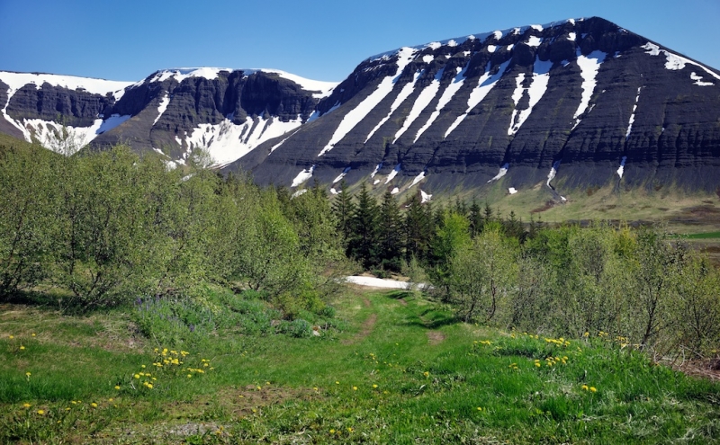 Face to face с Исландией и "безвизовой" Шотландией или потерянный день на MSC Splendida