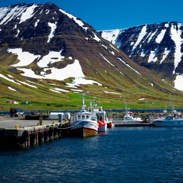 Face to face с Исландией и "безвизовой" Шотландией или потерянный день на MSC Splendida