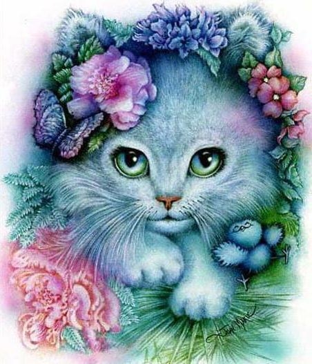 Поговорим о кошках35