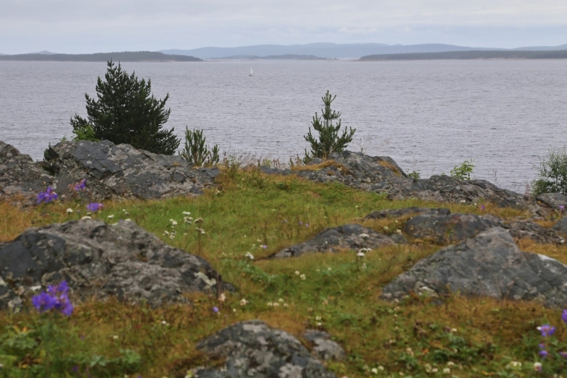 Из Питера по Мурманской области на машине