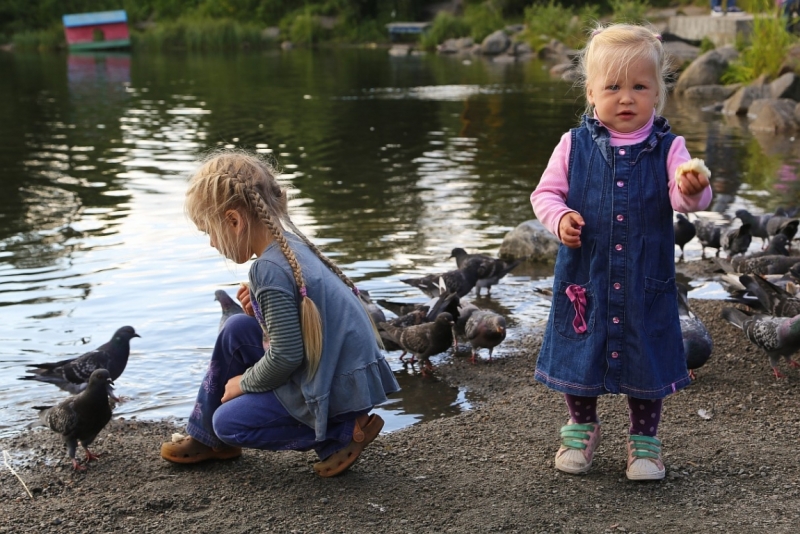 Из Питера по Мурманской области на машине