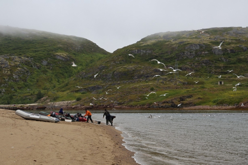 Из Питера по Мурманской области на машине