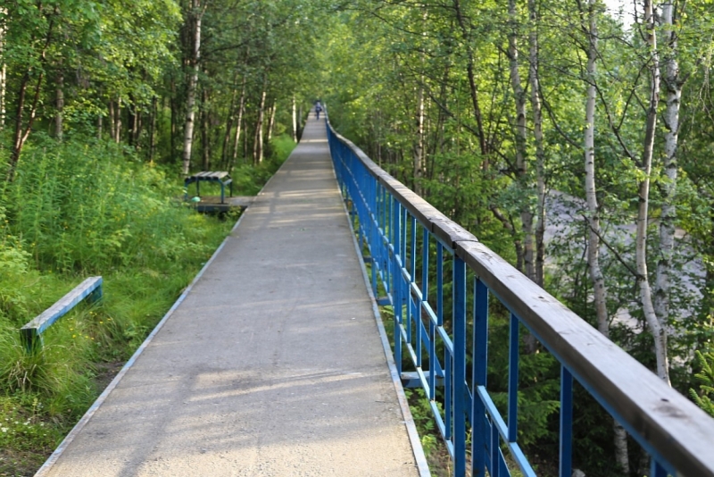 Из Питера по Мурманской области на машине