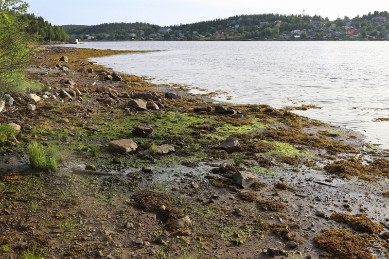 Из Питера по Мурманской области на машине