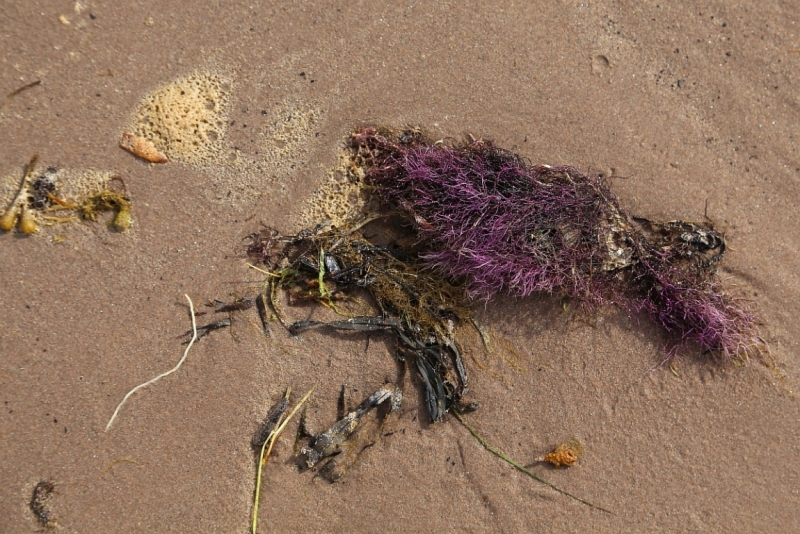 Из Питера по Мурманской области на машине