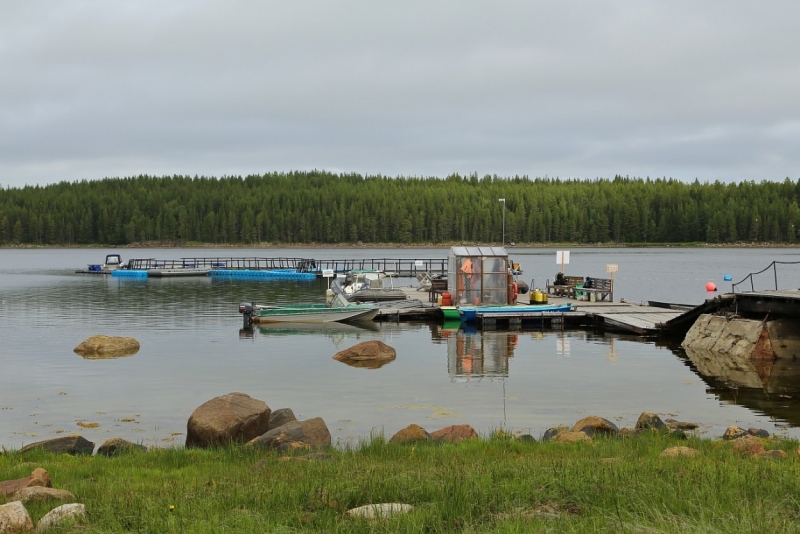 Из Питера по Мурманской области на машине