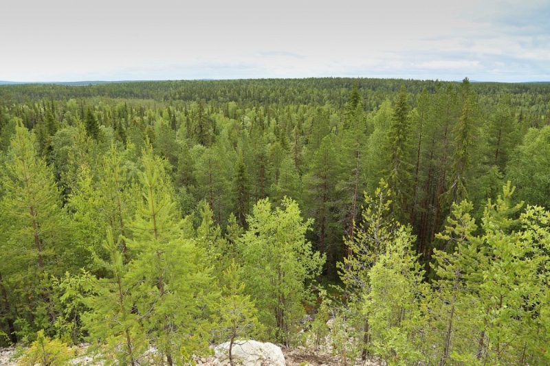 Из Питера по Мурманской области на машине