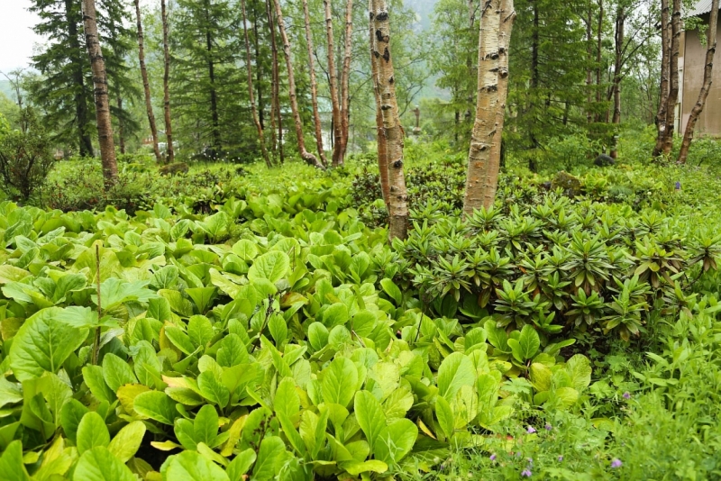 Из Питера по Мурманской области на машине