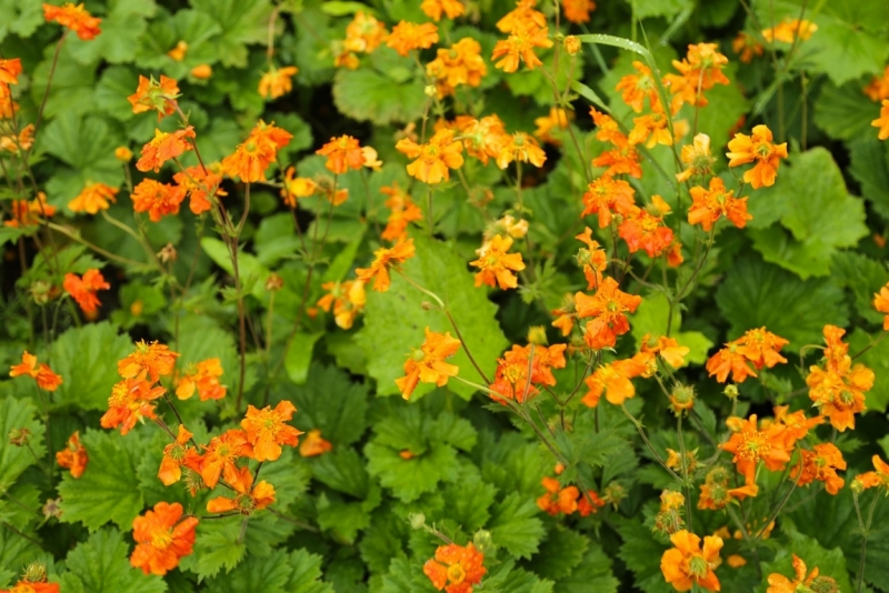 Из Питера по Мурманской области на машине