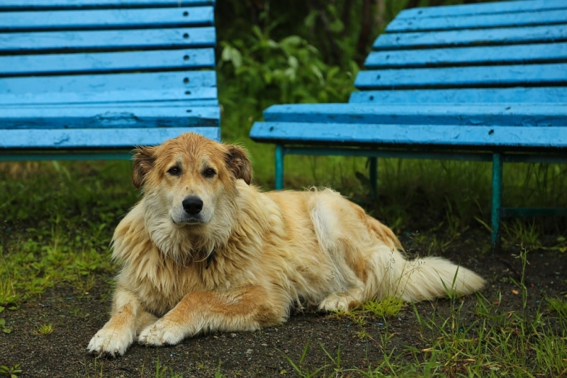 Из Питера по Мурманской области на машине