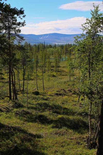 Из Питера по Мурманской области на машине