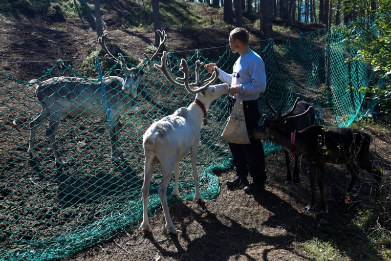 Из Питера по Мурманской области на машине