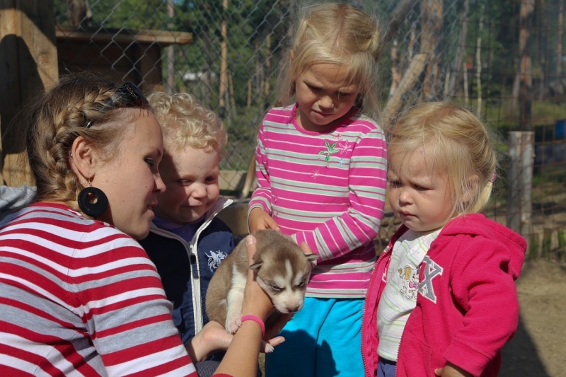 Из Питера по Мурманской области на машине