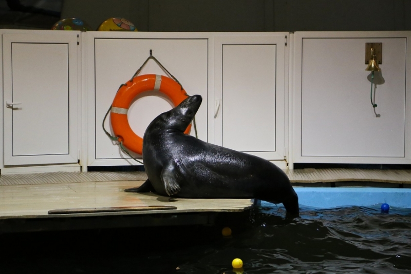 Из Питера по Мурманской области на машине