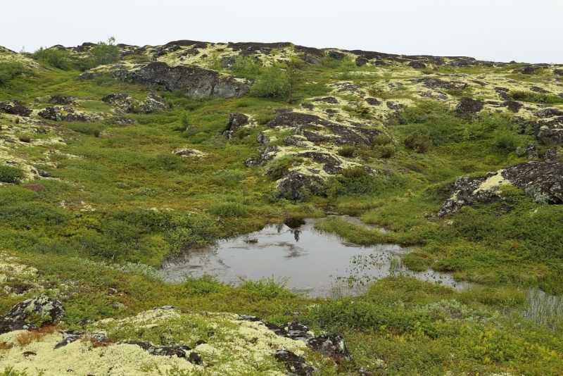 Из Питера по Мурманской области на машине