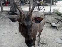 P27-05-11 10.06 [800x600]