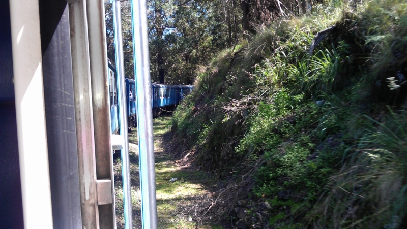 Шри Ланка 6-28 января 2015. РАЙ НА ЗЕМЛЕ!