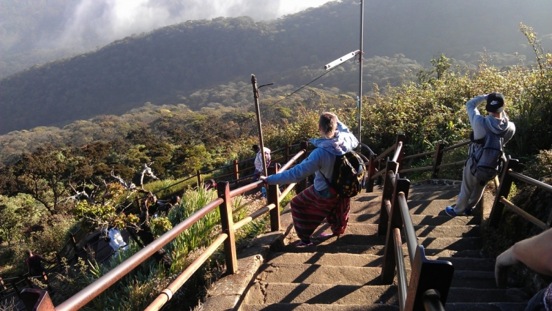 Шри Ланка 6-28 января 2015. РАЙ НА ЗЕМЛЕ!