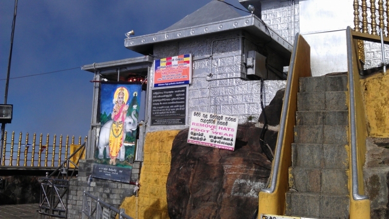 Шри Ланка 6-28 января 2015. РАЙ НА ЗЕМЛЕ!