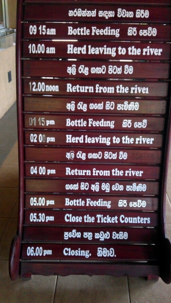 Шри Ланка 6-28 января 2015. РАЙ НА ЗЕМЛЕ!