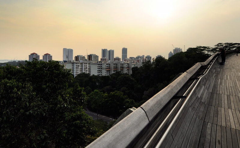 Неделя в Сингапуре: места и впечатления (март-апрель 2014) фото, траффик