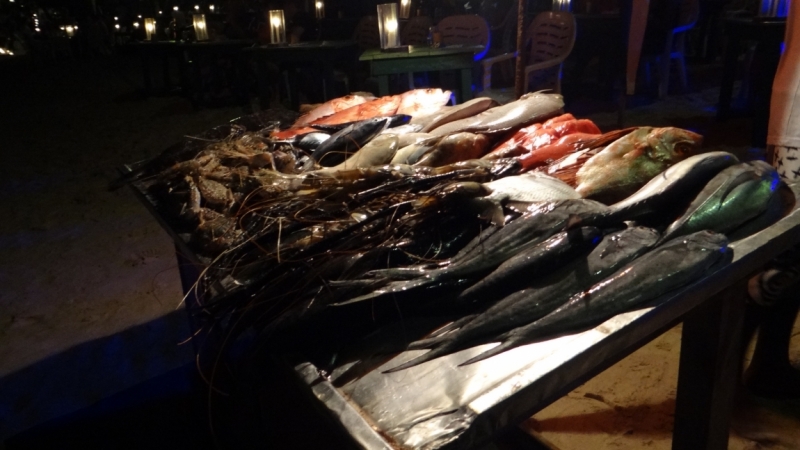 Шри Ланка на автобусе, август 2015 года, как её увидели мы.