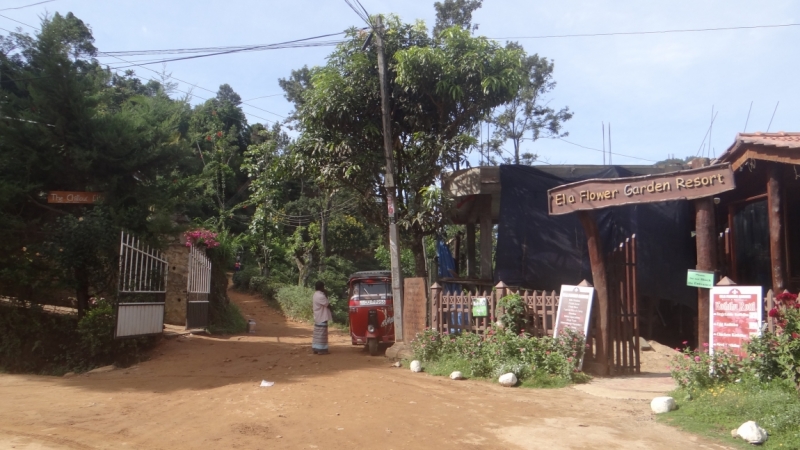 Шри Ланка на автобусе, август 2015 года, как её увидели мы.