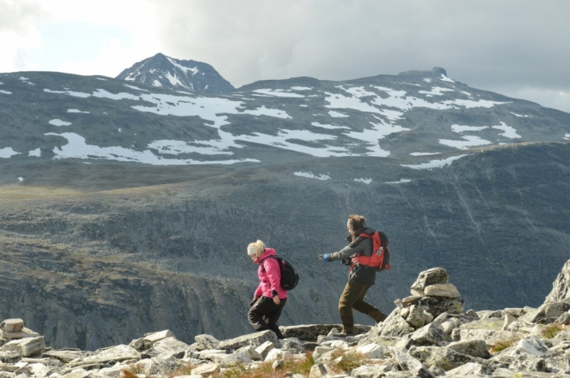 Холодное лето 2015 в поисках клада(прогулки в регионе фьордов с ребенком 4 лет,много фото)