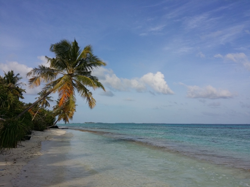 Dhigurah Island, TME Retreats, август 2015