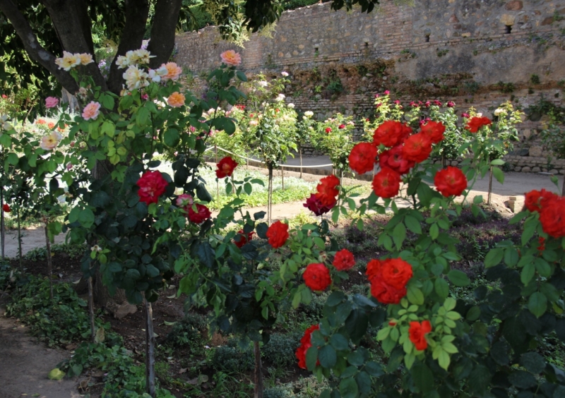 Андалусия июль 2015. Планы и результаты (с фото))